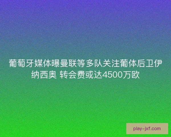 葡萄牙媒体曝曼联等多队关注葡体后卫伊纳西奥 转会费或达4500万欧